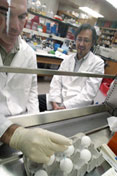 UW–Madison virologist Yoshihiro Kawaoka&#8217s laboratory