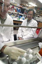 Influenza researcher Yoshihiro Kawaoka