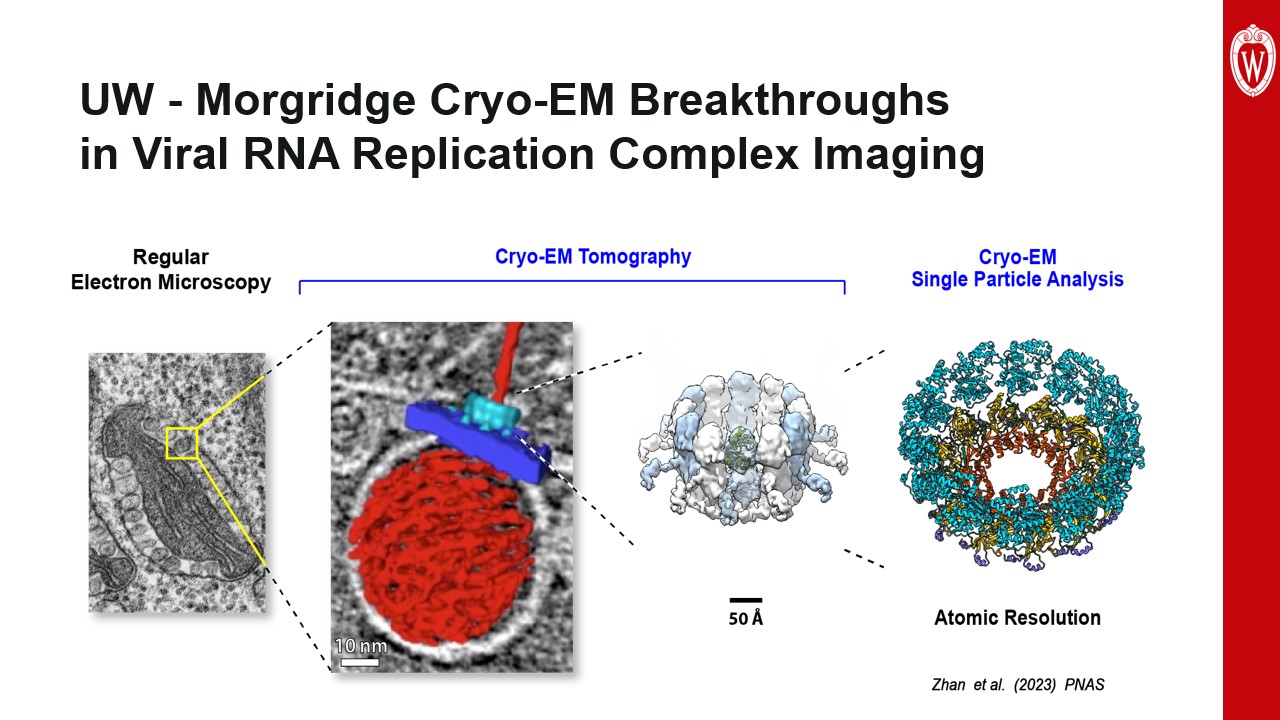 This slide is titled “UW - Morgridge Cryo-EM Breakthroughs in Viral RNA Replication Complex Imaging” and depicts four images of a coronavirus, the first under an electron microscope and the next three showing increasing levels of detail under the cryo-EM microscope.