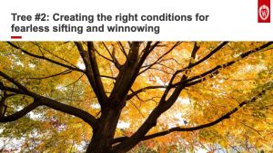 Slide 12: Tree number two. Creating the right conditions for fearless sifting and winnowing. The slide shows a photo of a tree's canopy as its leaves turn from green to yellow.